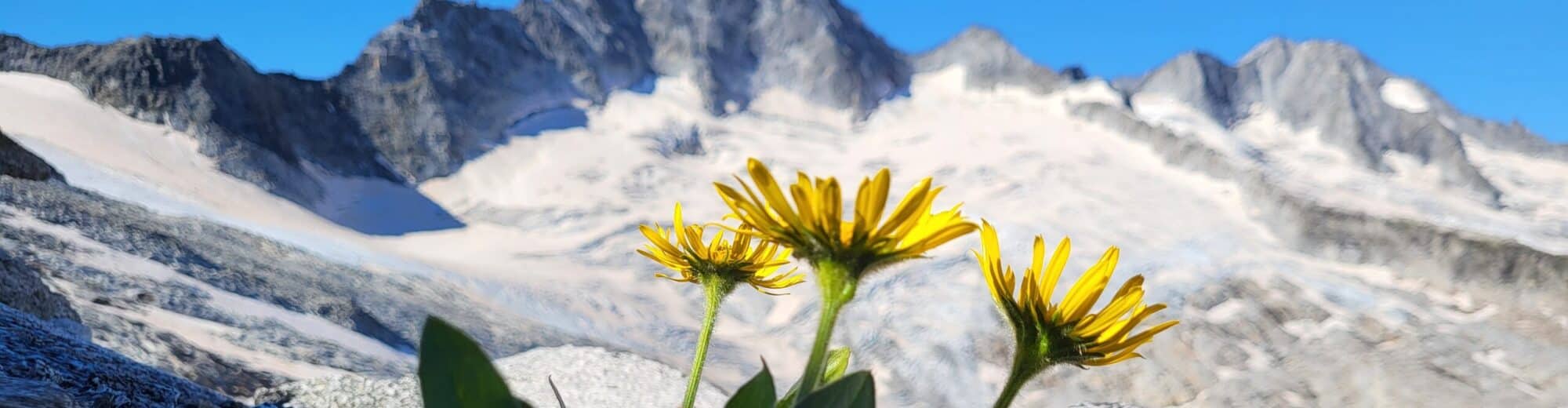 Bergsteigen hinter'm Haus